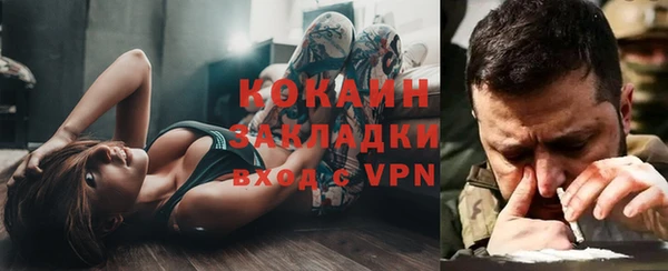 сатива Инсар