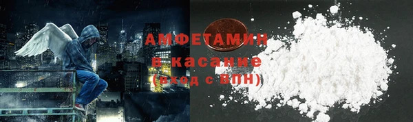 сатива Инсар