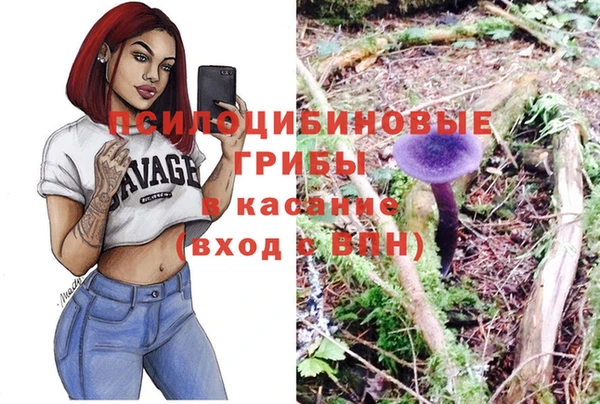 экстази Каменка