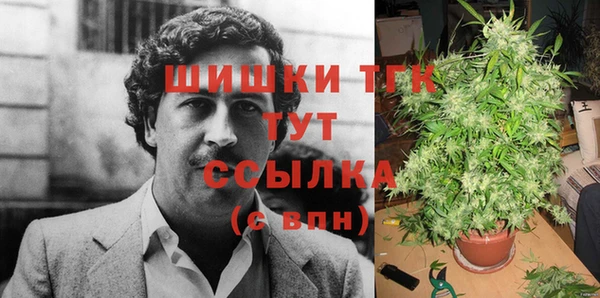 экстази Каменка