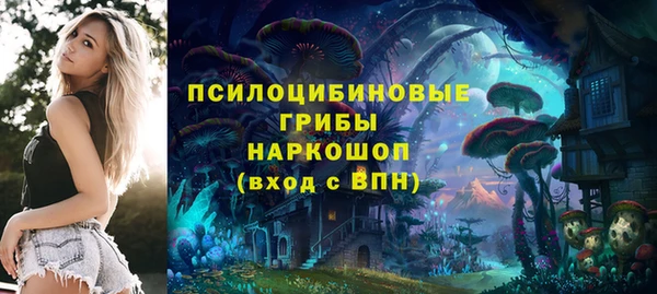 сатива Инсар