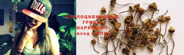 сатива Инсар